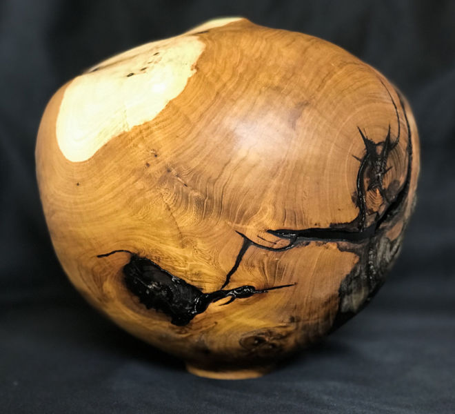 forme-creuse-arbre-judee-2