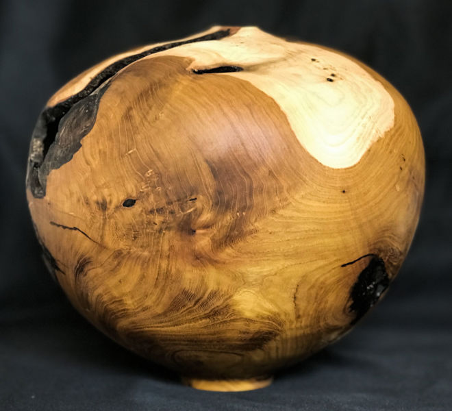 forme-creuse-arbre-judee-3