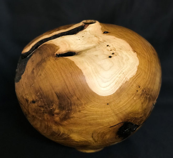 forme-creuse-arbre-judee-6